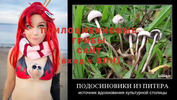 скорость Снежногорск