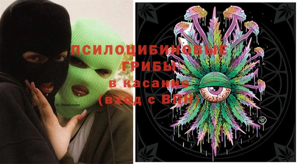 крисы Абдулино