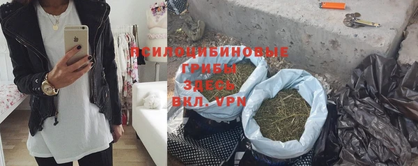 крисы Абдулино