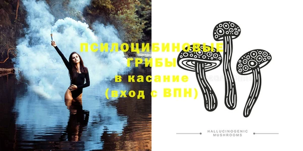крисы Абдулино