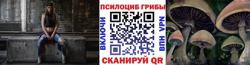 Галлюциногенные грибы MAGIC MUSHROOMS  где купить   omg вход  Болгар 
